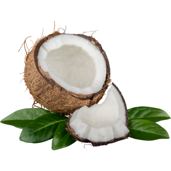 Coconuts