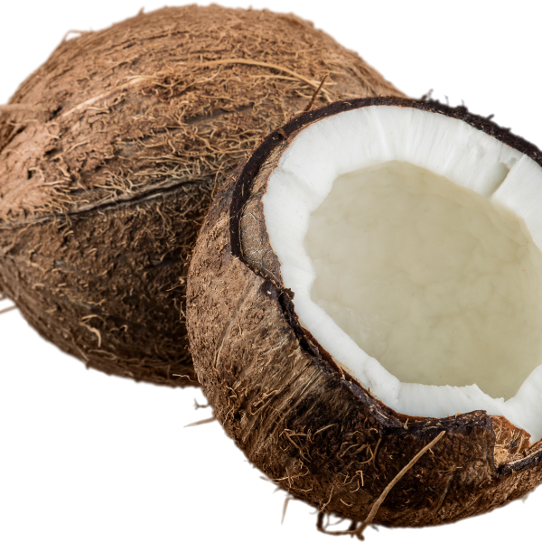 COCONUTS