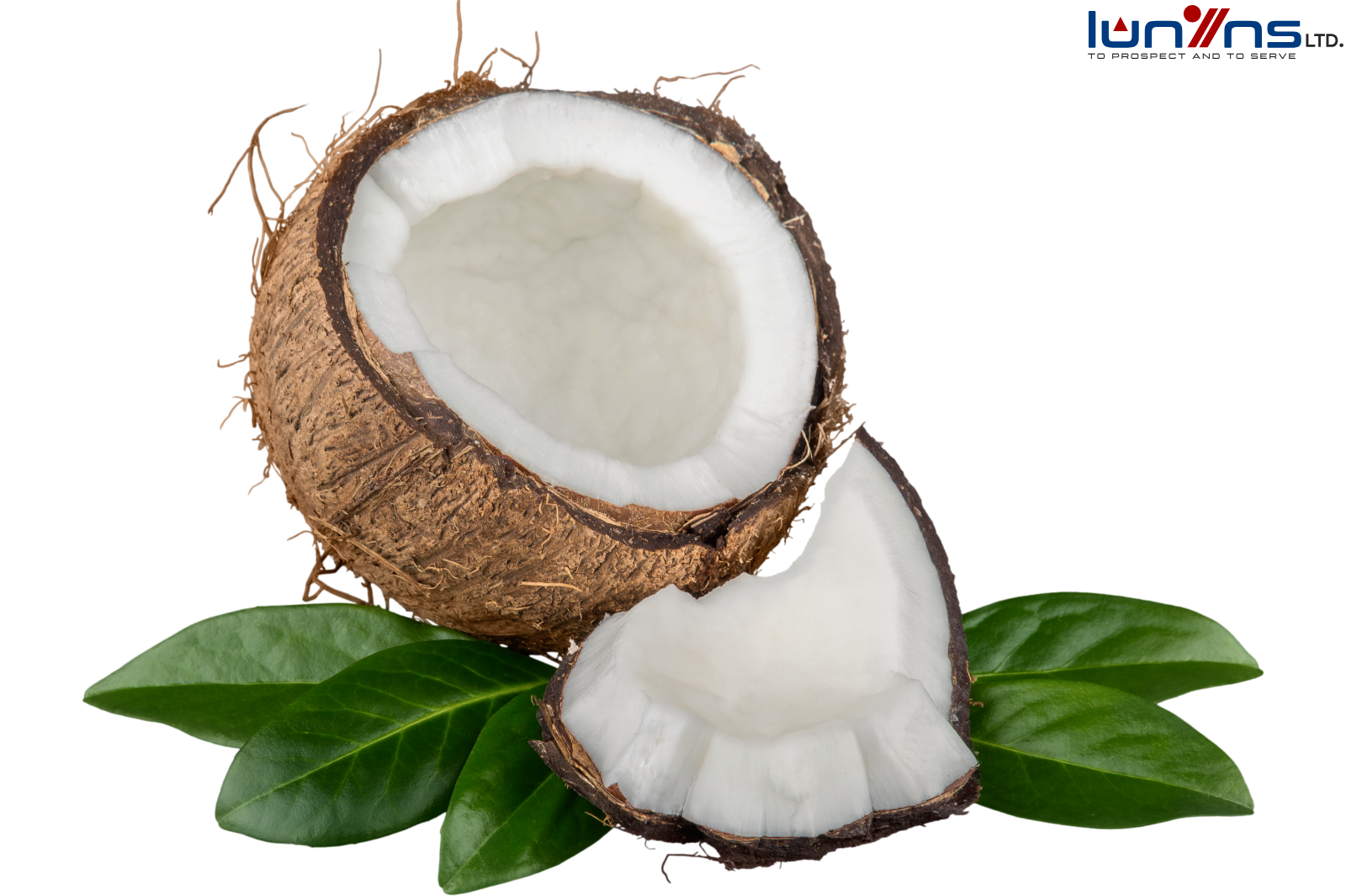 DRY COCONUTS